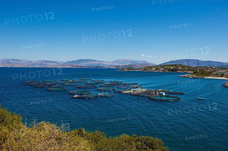 Fishfarm in Kassiopi