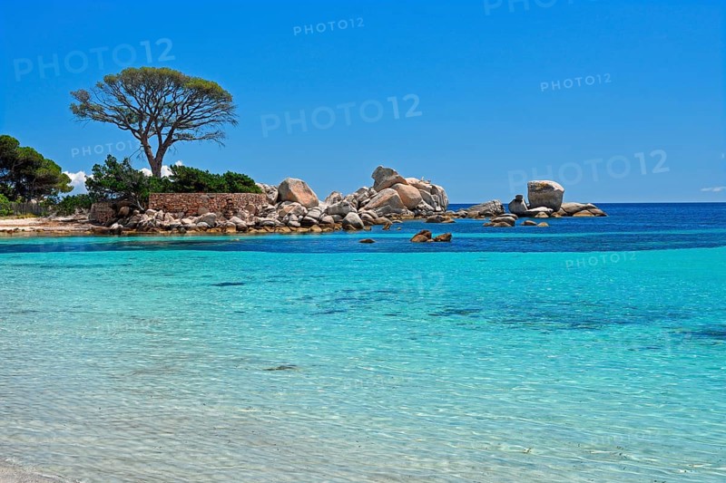 Palombaggia beach with turquoise green sea