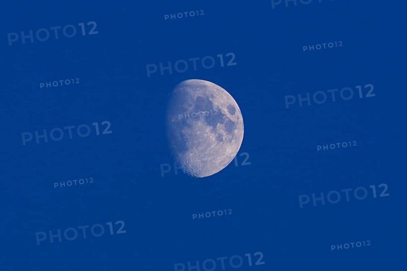 Increasing moon in the blue evening sky