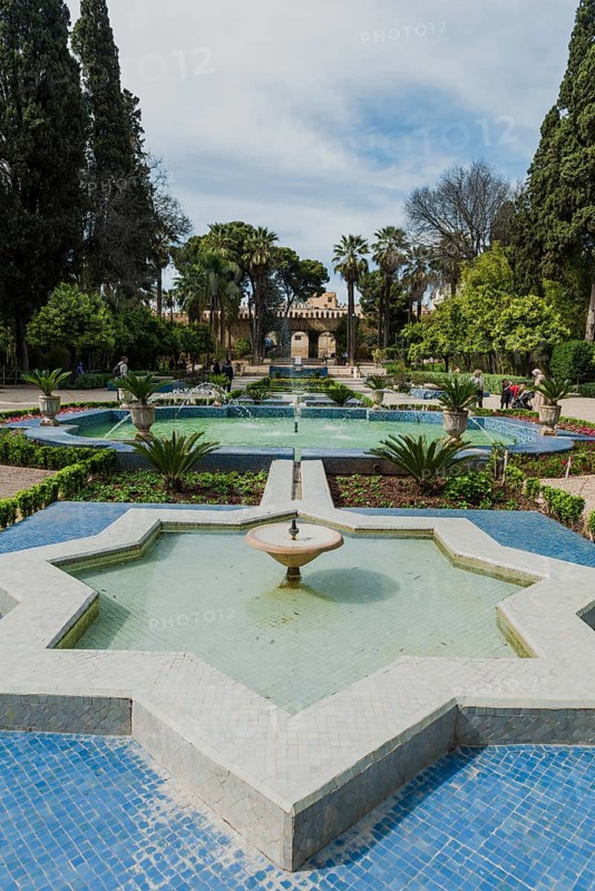 City park with fountain and flowers