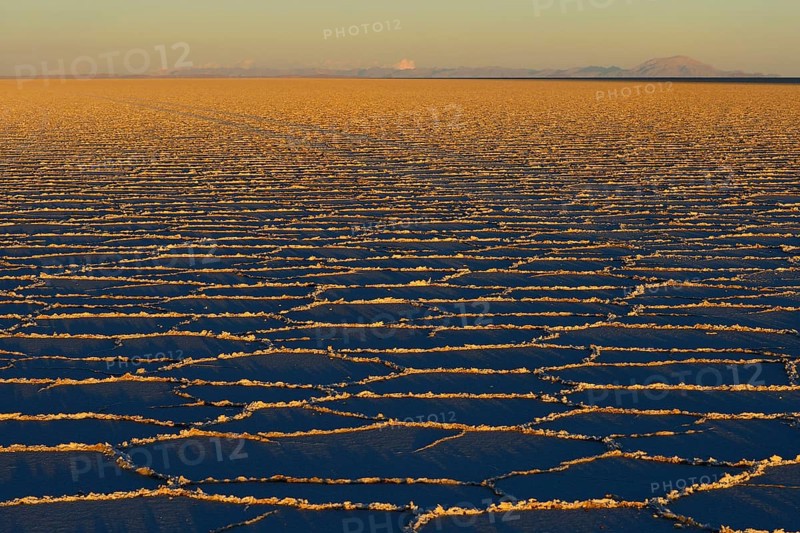 Honeycomb structure on the salt lake at sunrise