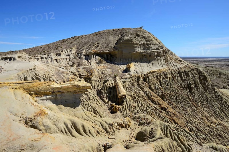 Petrified tree trunks exposed by erosion in the Petrified Forest
