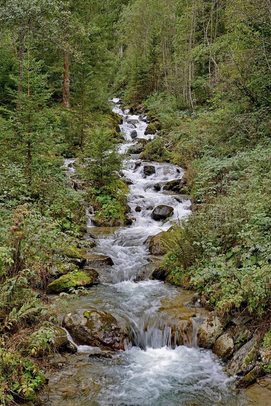 Gartlbach