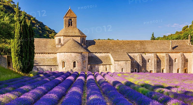 The Romanesque Cistercian Abbey of Notre Dame of Senanque set amongst flowering lavender fields