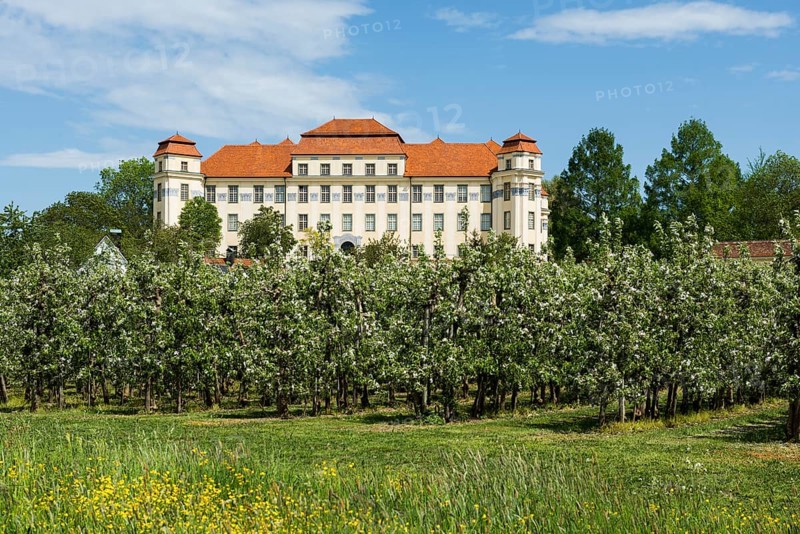 New castle and flowering fruit trees