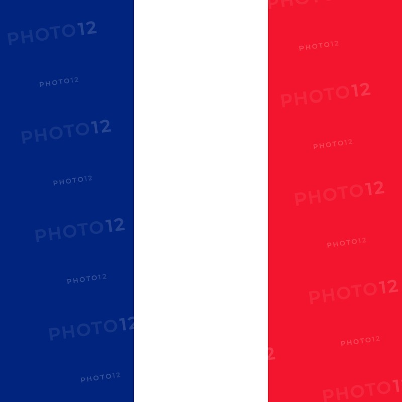 Official national flag of Saint Barthelemy