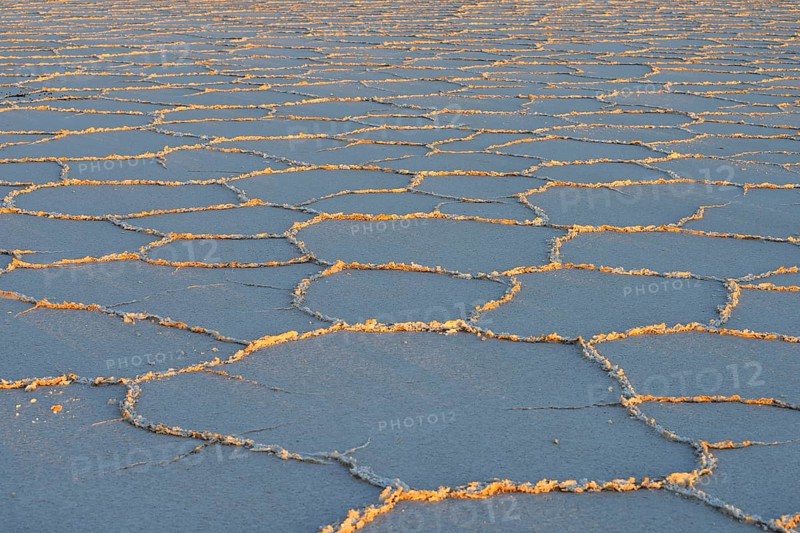Honeycomb structure on the salt lake at sunrise