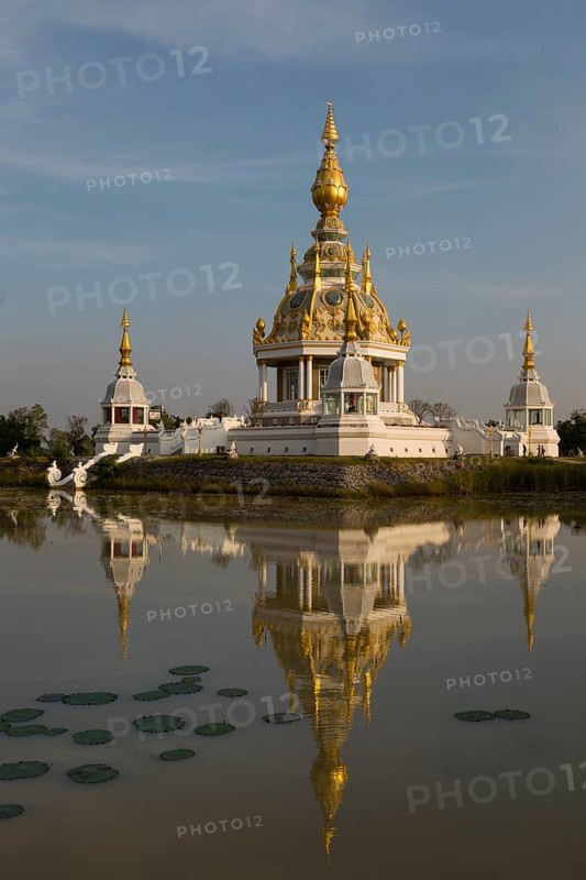 Pond with Lotus (Nelumbo) in front of Maha Rattana Chedi of Wat Thung Setthi