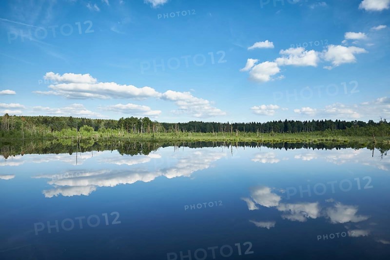 View over the Regenmoor marshland and Neckar origin Schwenninger Moos