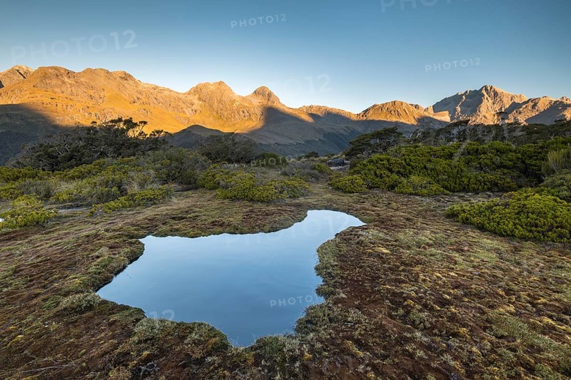 Pond at Key Summit