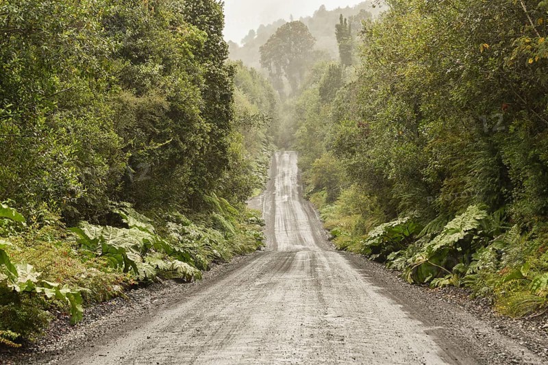 Corrugated iron pavement of Carretera Austral in temperate rainforest