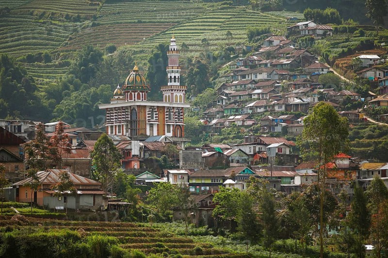 Terrace fields on the slope