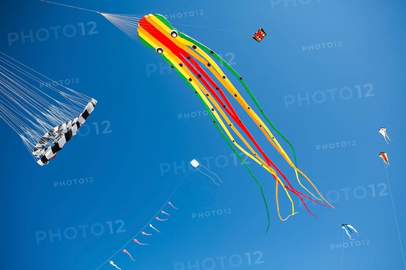 Various kites