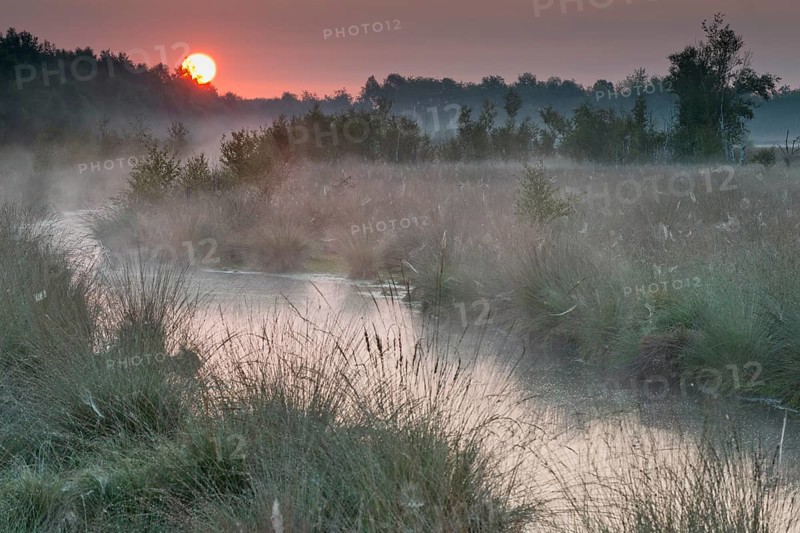 Sunrise in the moor