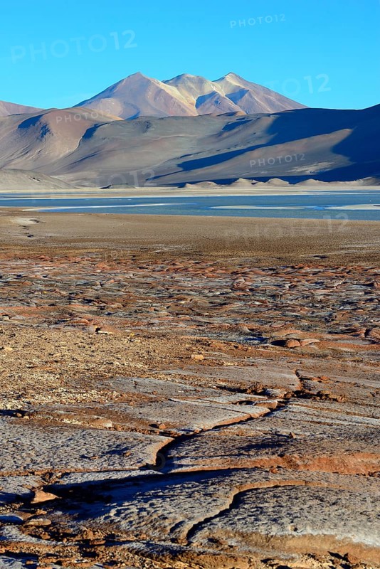 Lagune Salar de Talar mit den Bergen Cerros de Incahuasi