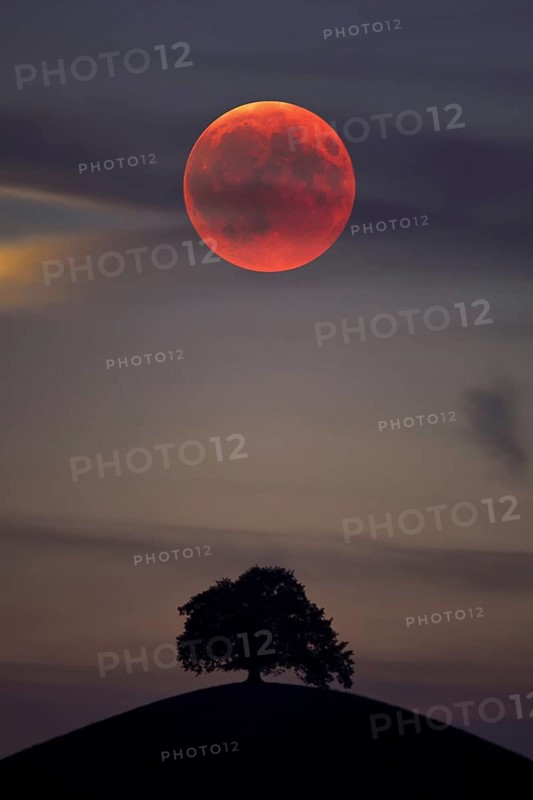 Bloodmoon