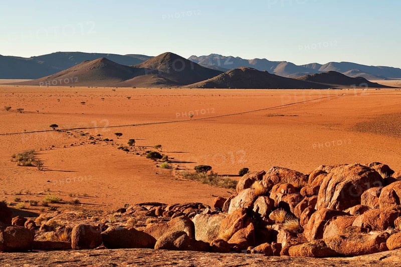 Desert Landscape