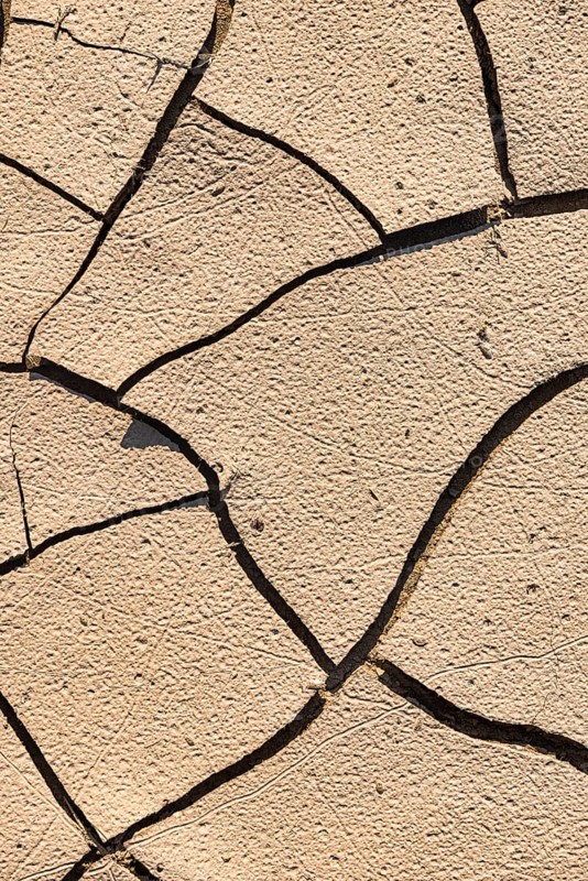 Drying cracks in clay soil