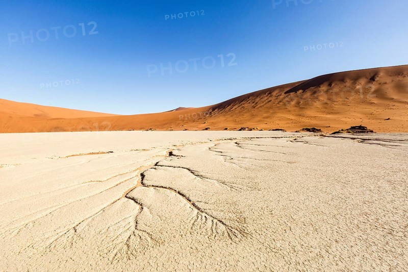 Water veins in the dry soil