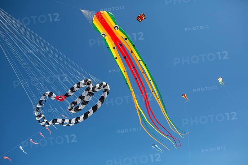Kites in front of blue skies on the beach