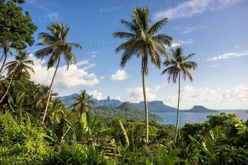 Wooded mountain landscape with palm trees and banana plants on the coast