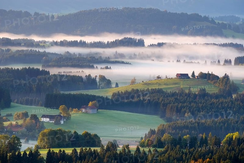Hilly landscape with morning fog