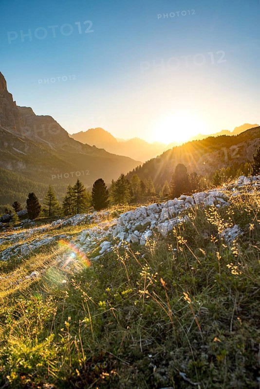 Sunrise in front of mountain silhouette with mountain meadow