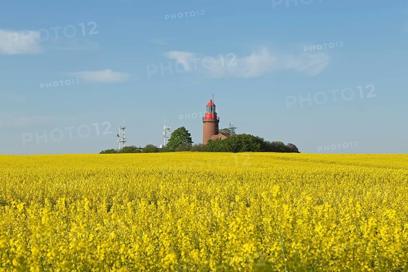 Lighthouse Buk with flowering rape field