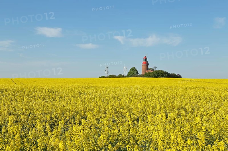 Lighthouse Buk with flowering rape field