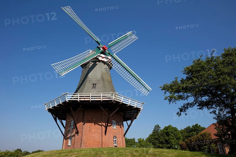 Gallery Dutchman