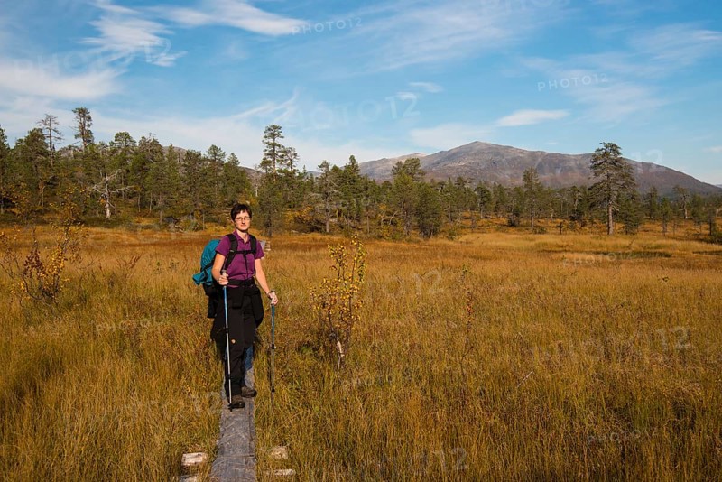 Female hiker on wooden planks