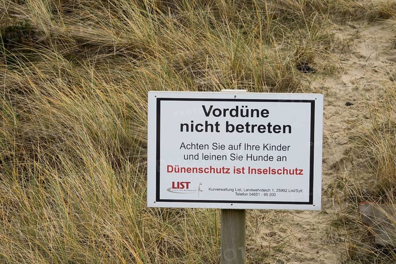 Primary dune at List