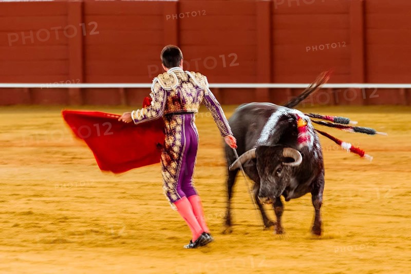 Racing bull with Matador