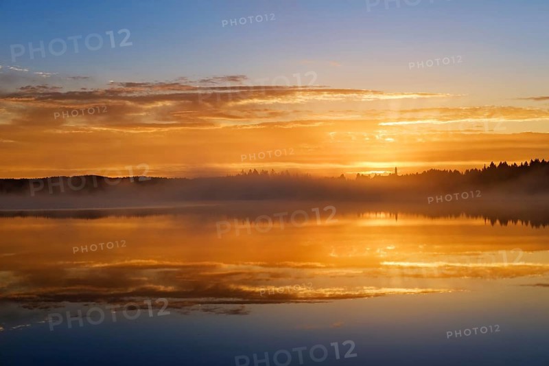Dawn
