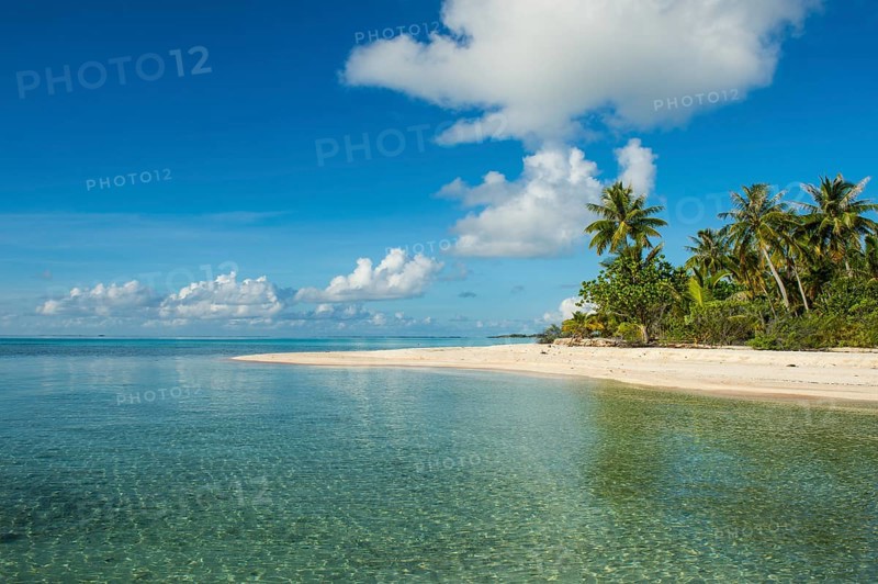 Palm fringed white sand beach in the turquoise waters of Tikehau