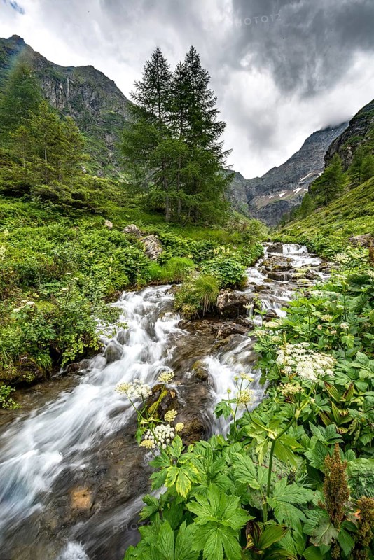 Steinriesenbach on the hiking trail to the Gollinghutte
