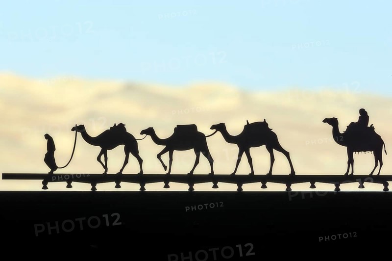 Camels as decoration on window