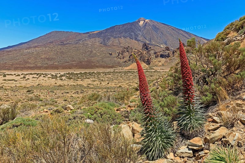Volcano Pico del Teide