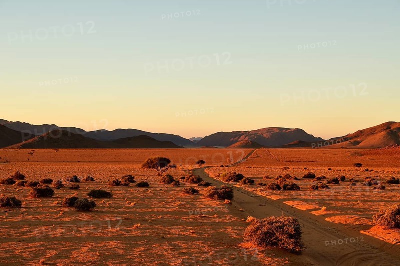 Sand track through the sandy desert