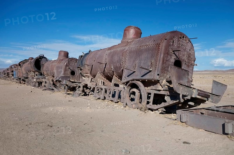 Train with steam locomotive at the railway cemetery