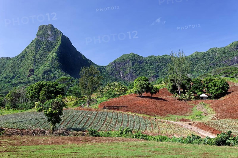 Agricultural land