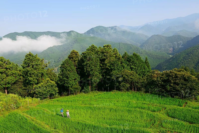 Pilgrims on the Nakahechi Route