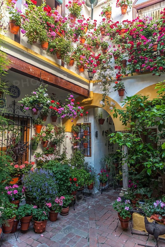 Many colorful flowers in flower pots on a house wall in the courtyard