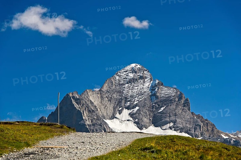 In the hiking area Grindelwald First