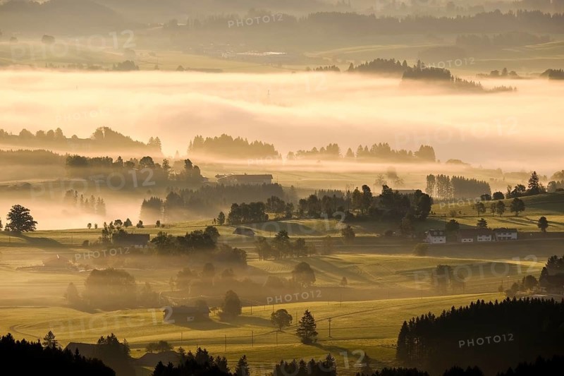 Morning mist over the Lech valley