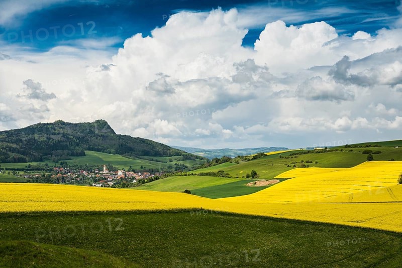 Blooming rape fields and Hegau volcano Hohenhewen