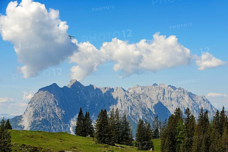 Hang gliders over the Eggenalm with view of the Wilder Kaiser (Tyrol