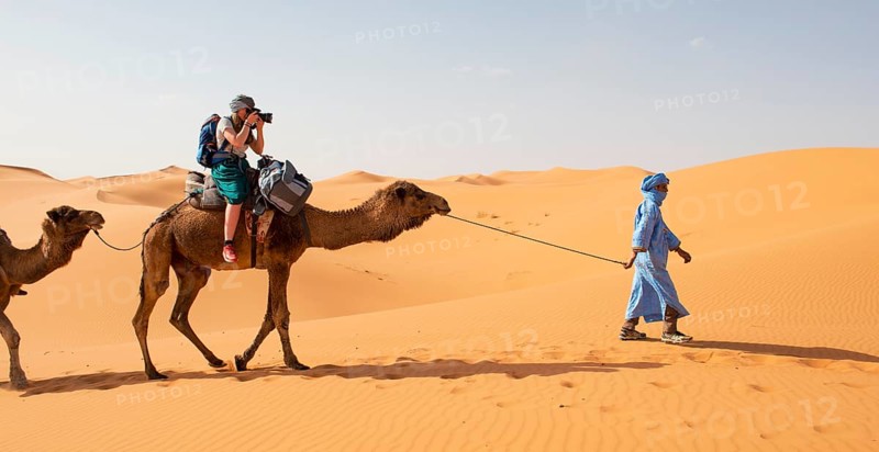 Tourist on a dromedaries with bedouin (Camelus dromedarius)