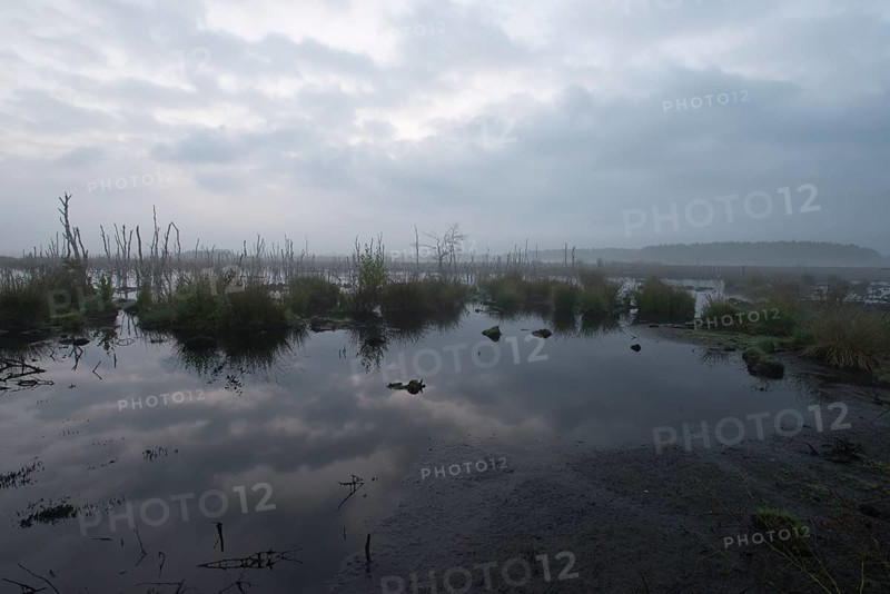 Theikenmeer nature reserve
