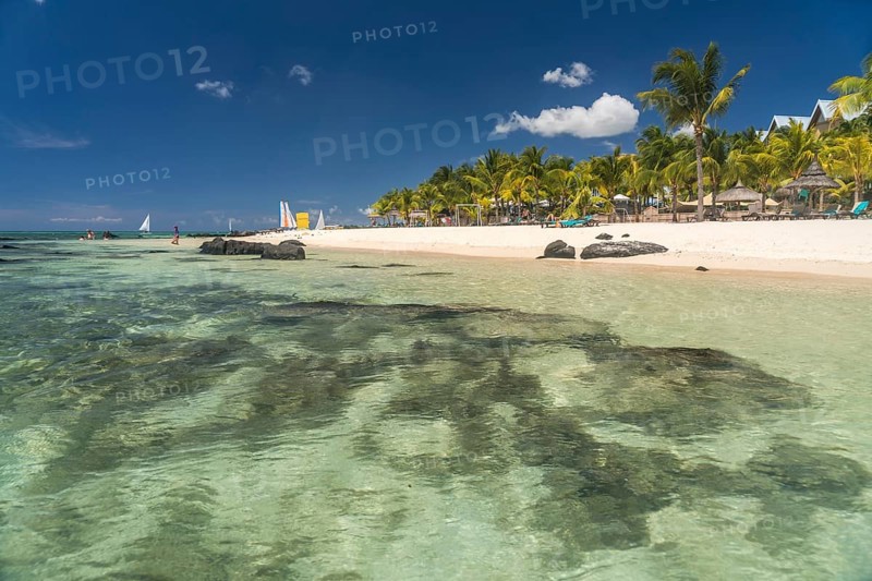 Dream beach with palm trees at the bay of Turtle Bay